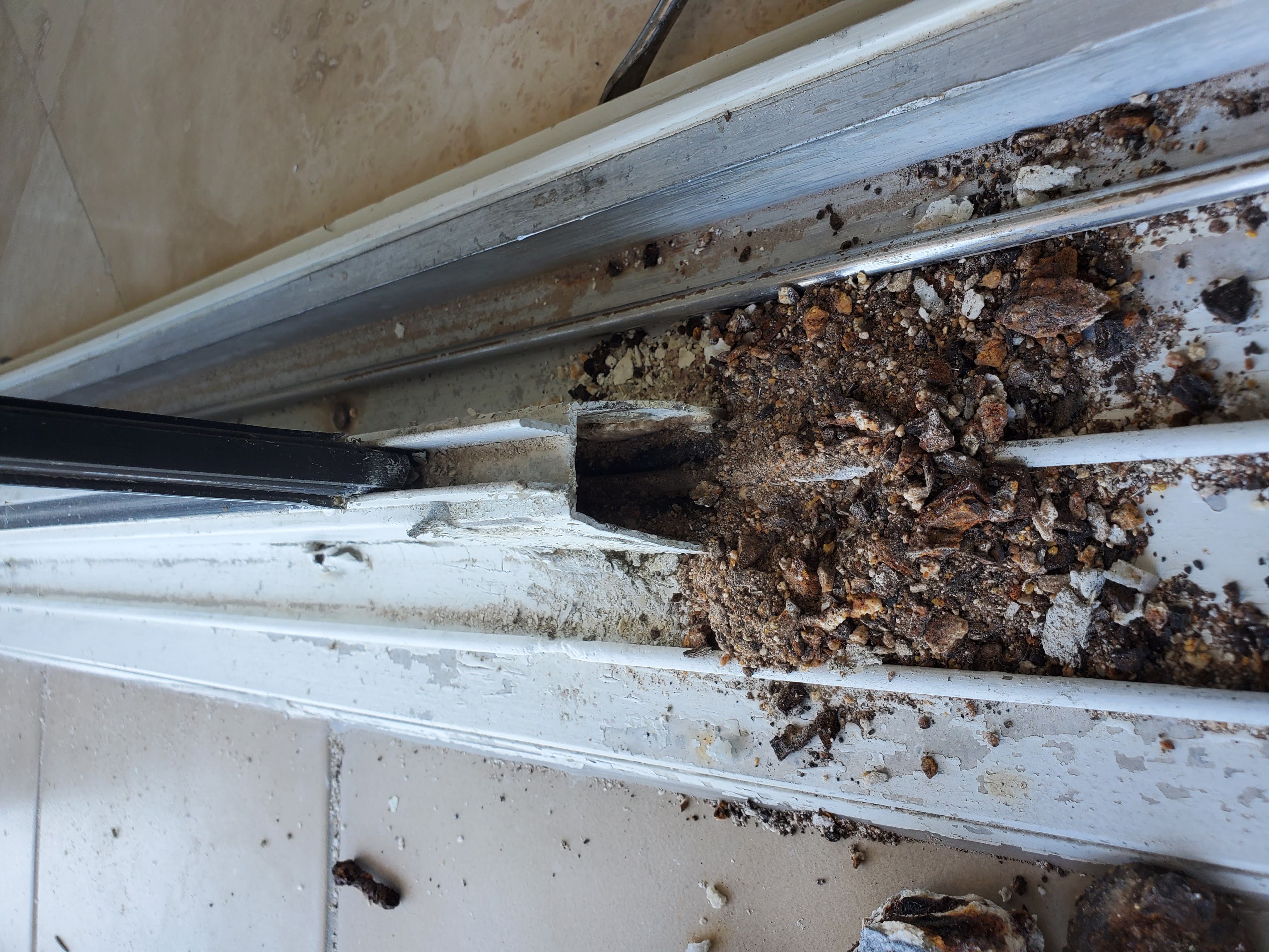 Repair Your Door Before the Problem Gets Worse